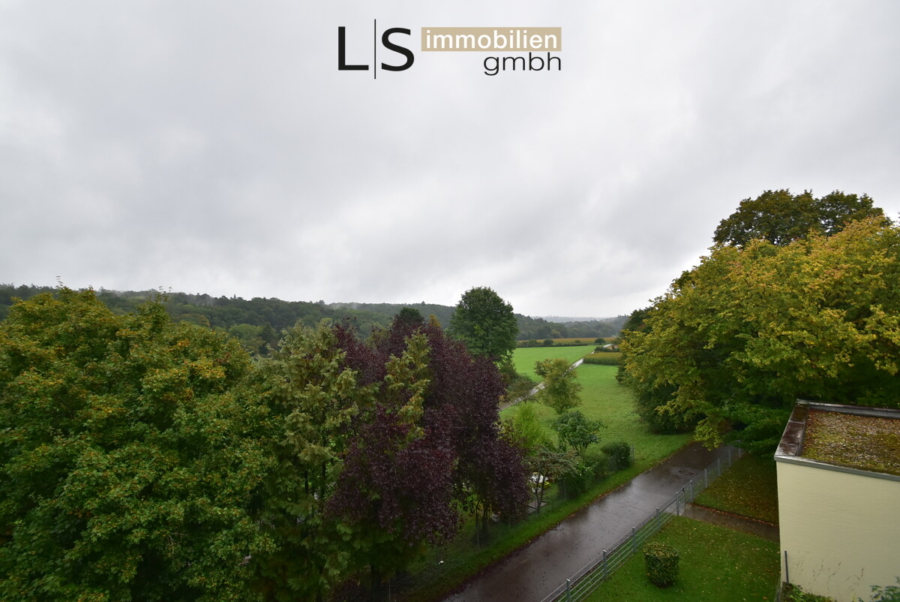 Ausblick Balkon | Ramsbachtal